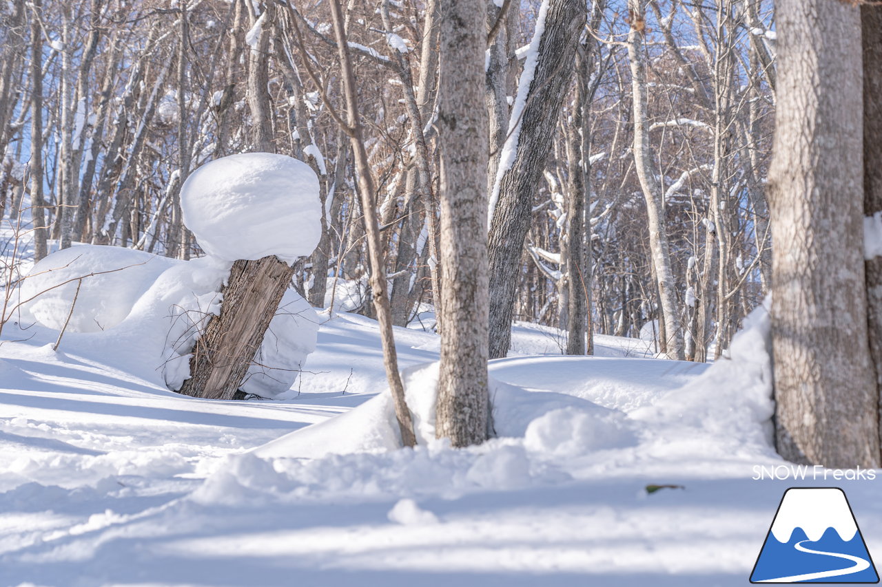 札幌藻岩山スキー場｜本日、雲一つ無い快晴！札幌藻岩山の全10コースの滑走にチャレンジ(^^)/